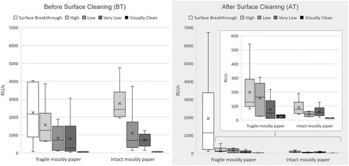 Fig. 4 Biological surface load (RLUs) on two types of paper before (left) and after surface cleaning (right). Sampling areas are categorised by visual quantity of surface mould before surface cleaning: high, low, very low and visually clean. For the fragile paper, those locations where sampling broke through the paper surface are separated into the category of surface breakthrough.