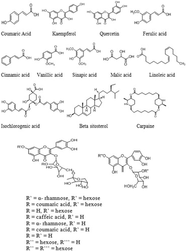 Figure 1. Proposed chemical structures of tentatively identified molecules in papaya leaf aqueous extract.