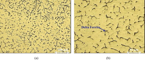 Figure 11. The microstructure of 309 weld metal centre in two different magnifications: (a) 100 µm and (b) 50 µm.