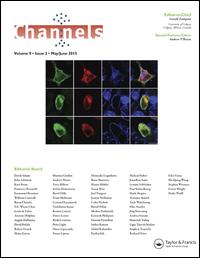 Cover image for Channels, Volume 13, Issue 1, 2019