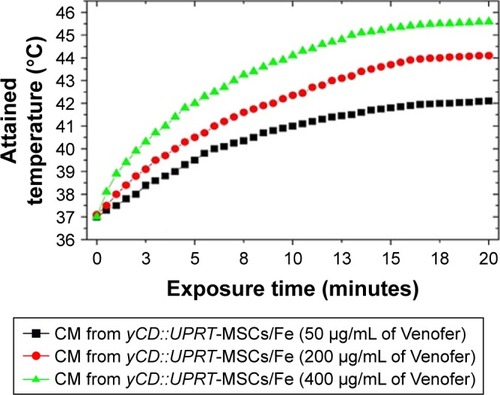 Figure 6 Representative examples of fiber-optic temperature profiles of exosomes incubated with different amounts of Venofer.Abbreviations: CM, conditioned medium; MSCs, mesenchymal stem cells; yCD∷UPRT, yeast cytosine deaminase∷uracil phosphoribosyl transferase suicide fusion gene.