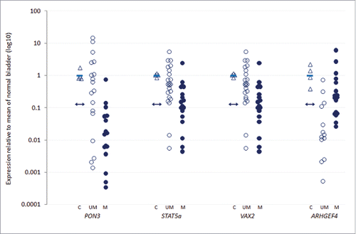 Figure 5. Association of methylation with gene transcript expression in HG-NMIBC. Tumor transcript expression in unmethylated (UM, unfilled circles) and methylated (M, filled circles) high-grade tumors, relative to normal bladder control (C, unfilled triangles) for the 4 genes showing significant Spearman's correlation coefficients between promoter methylation and gene expression (PON3, STAT5a, VAX2 and ARHGEF4; P = 0.0006, P = 0.005, P = 0.013 and P = 0.0007, respectively). The double-headed arrow represents the threshold for 3-fold reduced expression relative to the mean of the normal controls (solid blue bar); expression at or below this threshold signifies reduced expression in tumor samples.