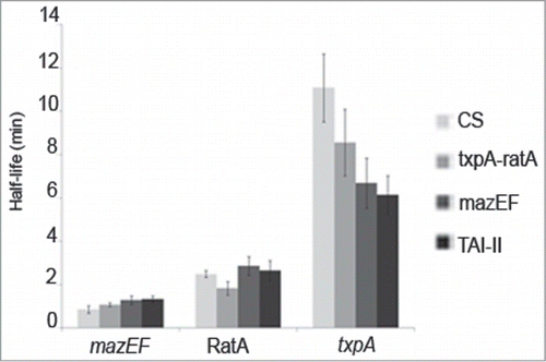 Figure 5. Stability measurements of transcripts expressed by E. faecalis V583 strains CS, mazEF, txpA-ratA and TAI-II. Fig.S3 shows a representative experiment of RNA signals detected. For each transcript, half-life was estimated as the time required for 50% decrease of its initial amount.