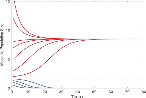 Figure 2. Solutions approach Nv=0 or Nvb(+) depending on their initial values.