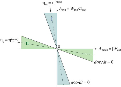 Figure 6. Schematic representation of the different regimes of the active particle in the plane of the mechanical and chemical affinities for χ>0 [Citation53]. In domain I, self-diffusiophoretic mechanical work is powered by the reaction. In domain II, an external force of sufficient magnitude acting in a direction opposite to that of the Janus particle velocity can yield the synthesis of fuel from the product. For χ<0, the slopes of the lines ⟨z˙⟩=0 and ⟨n˙⟩=0 are instead positive.