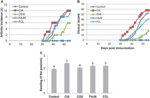 Figure 1. Effect of FCL and FAJN on (A) arthritis incidence, (B) clinical score and (C) swelling of the paw in collagen-induced arthritis of mice. Means ± SE. n = 10. abc means not sharing the same letter is significantly different among the groups at p < .05. Control: normal group, CIA: negative control group, COX: positive control group, FAJN: fermented Achyranthes extract, FCL: fermented Adlay extract.