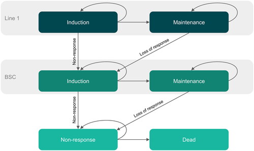 Figure 1. Markov cohort model structure.*Arrows to the Dead health state removed for simplification; Dead can be reached from any other health state at any time.