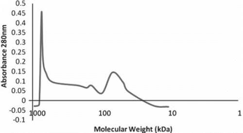 Figure 1. Molecular distribution of crosslinked bovine stroma-free polyhemolysate. The elution profile of stroma-free polyhemolysate was obtained by running 1 ml of stroma-free polyhemolysate on Sepacryl S-300 1.5398cm column with 0.1 M Tris-Hcl, 0.15M NaCl pH 7.5 buffer at elution speed at 36 ml/hr.