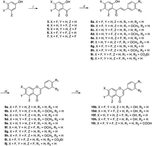 Scheme 1. Synthesis of fluoro-substituted flavonoid analogs with a variation of the B ring. Reagents and conditions: (i) (a) Acetyl chloride, pyridine, CH2Cl2, rt, 30 min, (b) AlCl3, 150 °C, 10 min; (ii) appropriate aldehydes, Ba(OH)2, MeOH (or EtOH), 50 °C, 1–17 h; (iii) I2, DMSO, 110 °C, 6–24 h; (iv) BBr3, CH2Cl2, 50 °C, 14–18 h.