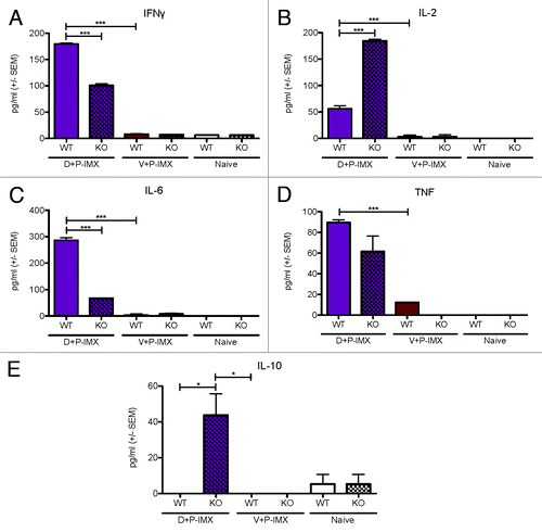 Figure 7. Th1 and Th2 serum cytokine responses in C57Bl/6 and MyD88 deficient mice boosted with the DP6-001 ISCOMATRIX™ vaccine. Wild type C57Bl/6 mice were immunized with the DP6-001 ISCOMATRIX™ vaccine (D+P-IMX) (purple), or with an empty vector DNA prime followed by the DP6-001 ISCOMATRIX™ vaccine (V+P-IMX) (brown). Naïve mice received saline injections (white). Sera were collected pre-immunization, 6 h following each protein-adjuvant boost, and at termination 7 d after the final protein boost. Samples were evaluated for (A) IFNγ, (B) IL-2, (C) TNF, (D) IL-6, or (E) IL-10. Data show mean + SEM (n = 5). Statistical significance was determined by a one-way ANOVA and a Tukey post test (*P < 0.05, **P < 0.01, ***P < 0.001). (IMX = ISCOMATRIX™ adjuvant)