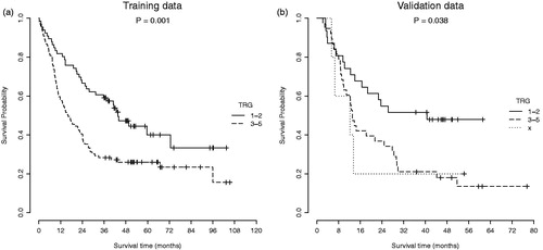 Figure 4. Survival curves of the (a) AMC cohort (training) and (b) Maastro cohort (validation). Division in risk groups was based on the pathological response in the primary tumor.