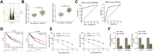 Figure 1 miR-32 and miR-548a are poorly expressed in DDP-resistant NSCLC cells. (A) Differentially expressed miRs in GSE56036 chip; (B) expression of miR-32 and miR-548a in tumor tissues of 36 patients with DDP-resistant NSCLC and 42 patients with DDP-sensitive NSCLC measured by RT-qPCR; (C) the predictive efficacies of miR-32 and miR-548a on DDP resistance in NSCLC patients testified by an ROC curve; (D) Kaplan Meier website predicted the expression of miR-32 and miR-548a and the life cycle of NSCLC patients; (E) IC50 values verified by CCK-8; (F) expression of miR-32 and miR-548a in parental or resistant A549 and H1299 cells examined by RT-qPCR. In Figures (E and F) each experiment was conducted three times; the data were described as mean ± SD and processed by two-way ANOVA and Tukey’s test, **p < 0.01, ***p < 0.001.