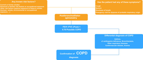 Figure 2 Final diagram of the diagnosis of COPD as proposed by the Delphi consensus.