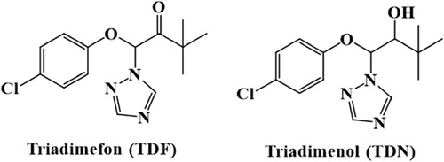Figure 1. The structural formula of triadimefon (TDF) and triadimenol (TDN).