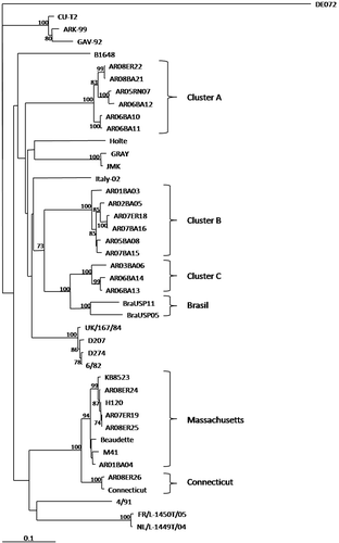 Figure 1.  Phylogenetic tree based on the neighbour-joining method for all of the nucleotide sequences analysed. Numbers along the branches refer to bootstrap values≥70%.