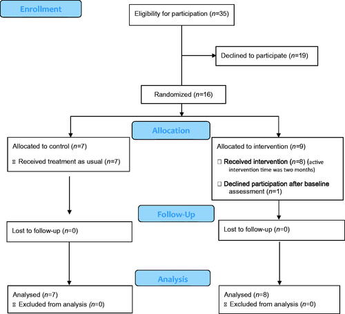 Figure 1. CONSORT 2010 Flow Diagram showing the process and number of participants in each step of the recruitment process and assessments.