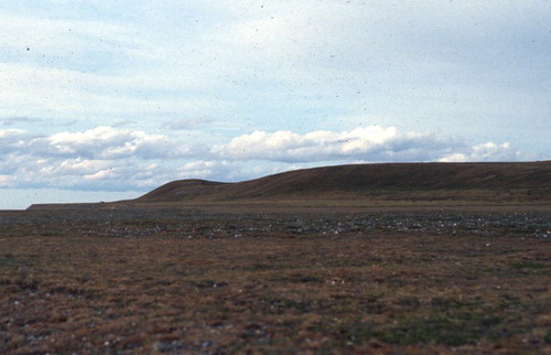 Figure 4. North of Porvenir: view of first-order terraces and relative palaeo cliffs.