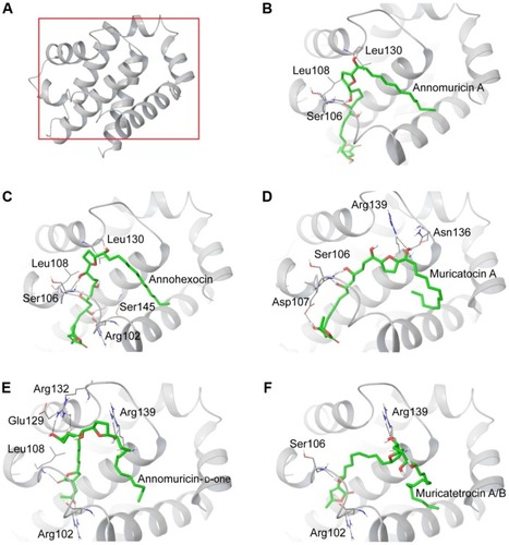 Figure 3 Binding interactions of acetogenins in the active site of Bcl-Xl (4QVX).