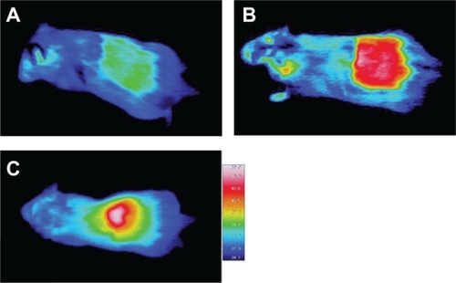 Figure 7 Thermal images of in vivo heat evolution in the subcutaneous tissues of a mouse. The acid-treated SWNT-containing gel (Matrigel®) (B) and the DNA-SWNT containing gel (C) showed heat evolution over 50°C by the near-infrared irradiation. In contrast, no local heat evolution was found in gel (A) not containing the SWNTs.Abbreviation: SWNT, single-walled carbon nanotube.