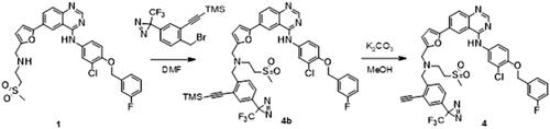 Scheme 5. Synthesis of analogue 4. Reagents and conditions: (a) NaH, DMF, rt; (b) K2CO3, MeOH, rt.