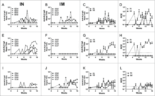 Figure 3. R848 induces local antibody responses after mucosal or systemic immunization. Macaques were immunised intranasally (A, E, I) or intramuscularly (B, F, J) with 200 μg KLH in combination with 500 μg R848 (n = 4 per group). Immunizations were administered at weeks 0, 4 and 8. KLH specific ELISA were performed for IgG (A, B, C) and IgA (E, F, G) in nasal lavage and IgG in vaginal samples (I, J, K). Relative coefficients of excretion (RCE) compared to albumin in nasal and vaginal samples (D, H, L). Data is presented as individual animals. Pooled data for each route is presented for each sample (C, F, I), where each point represents mean of n = 4 animals.