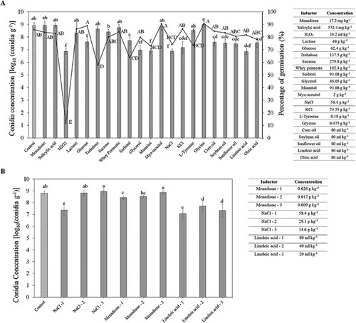 Figure 1. (A) Concentration (bars) and germination (line) of fresh conidia, and (B) Dry conidia concentration for fermentation for thermotolerant conidia production of M. rileyi Nm017. Variables with the same upper or lowercase letter did not differ significantly according to the Tukey HSD test (P > 0.05). Each variable was subjected to an independent statistical analysis.