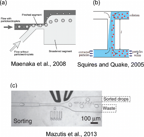 Figure 5. Selected microfluidic droplet and particle sorting techniques. (a) Reprinted with permission from Maenaka, H., Yamada, M., Yasuda, M. and Seki, M. (Citation2008). Continuous and Size-Dependent Sorting of Emulsion Droplets Using Hydrodynamics in Pinched Microchannels. Langmuir, 24(8):4405–4410. Copyright 2008 American Chemical Society. (b) Reprinted with permission from Squires, T. M. and Quake, S. R. (Citation2005). Microfluidics: Fluid Physics at the Nanoliter Scale. Rev. Mod. Phys., 77(3):977–1026. Copyright 2005 by the American Physical Society. (c) Adapted by permission from Macmillan Publishers Ltd: Nature Protocols, Mazutis, L., Gilbert, J., Ung, W. L., Weitz, D. A., Griffiths, A. D., and Heyman, J. A. (2013). Single-Cell Analysis and Sorting Using Droplet-Based Microfluidics. Nat. Protoc., 8 (5):870 -891, copyright 2013.