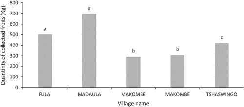 Figure 5. Quantities of marula fruits harvested per village in ward 3, Beitbridge district.