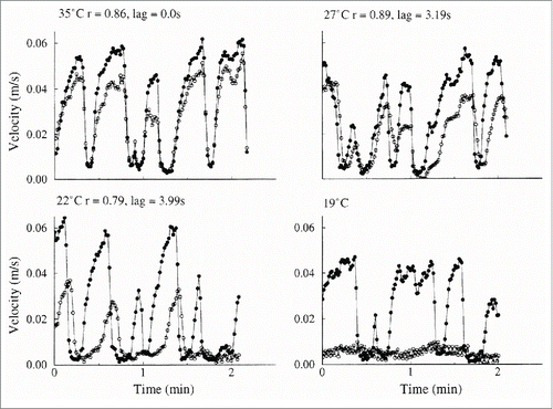 Figure 13. Two-minute periods of simultaneous bilateral blood velocity fluctuations at 4 different local temperatures. Same experiment as in Figure 12. Open circle: cooled hand. Filled circle: control hand. (From Bergersen, Eriksen and WalløeCitation32). © The American Physiological Society. Reproduced by permission of The American Physiological Society. Permission to reuse must be obtained from the rightsholder.