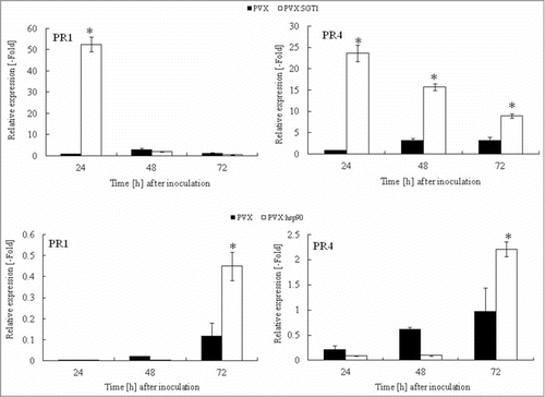 Figure 4. Acceleration of PR genes expression in Hsp90 and SGT1-silenced plants in response to Ralstonia solanacearum infection. Total RNA was isolated from control (PVX) and Hsp90 (PVX:Hsp90) and SGT1 (PVX:SGT1)-silenced plants inoculated with R. solanacearum (108 CFU/ml). Relative expression of PR-1a and PR-4 transcripts were normalized with actin and calculated as relative to the non-treated control. Values represent the means and SD from triplicate experiments. Asterisks denote valuessignificantly different from empty PVX controls (*; P < 0.05).