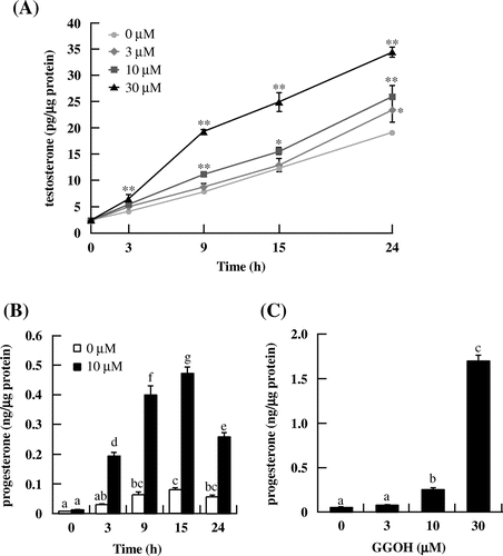 Fig. 1. GGOH stimulates testosterone and progesterone production in I-10 cells. Cells were treated with indicated concentrations of GGOH for 0–24 h. Testosterone (A) and progesterone levels in several time (B) and various concentrations for 24 h (C) in the culture medium were measured by EIA.