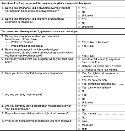 Figure 1. Translated questionnaire