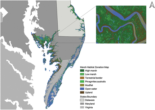 Figure 2. Visualization of MHZM data covering the eastern Delmarva Peninsula and the eastern shore of the Chesapeake Bay.