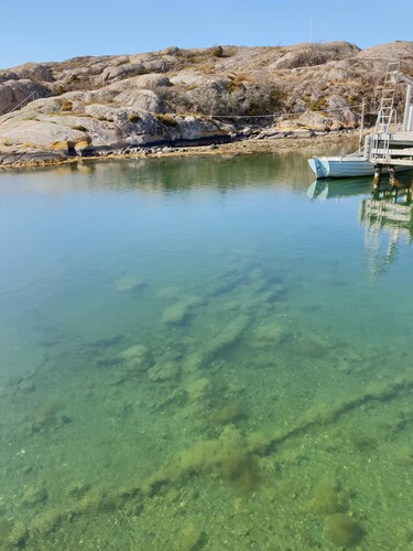 Figure 6. When the water is clear, the wreck of the Dyngö cog is clearly visible from the surface. It is therefore somewhat surprising that the shipwreck was not previously known among locals (Staffan von Arbin, University of Gothenburg).