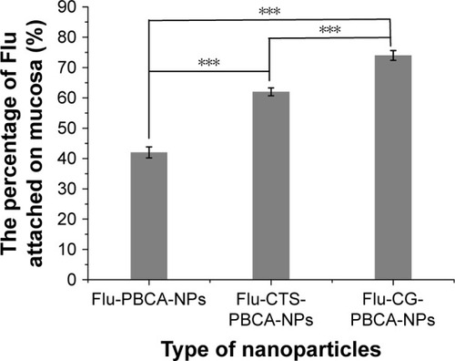 Figure 5 The percentage of Flu loaded in PBCA-NPs, CTS-PBCA-NPs, and Flu-CG-PBCA-NPs attached to ex vivo mucosa. ***P<0.001.Abbreviations: CG, chitosan–glutathione; CTS, chitosan; NP, nanoparticle; PBCA, poly (n-butyl) cyanoacrylate.