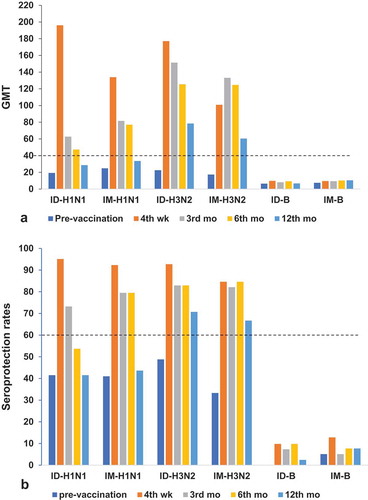 Figure 2. (a)Geometric mean titres (GMTs) with SD and (b) seroprotection rates (HI titre ≥ 1:40) at pre-vaccination,4 weeks,3 months, 6 months, and12tmonths post-vaccination in the ID and IM groups of COPD patients aged >60 years. Numbers inthe ID group: at pre-vaccination = 41,4weeks = 41,3 months = 37, 6months = 37,12months = 35. Numbers in the IM group: at baseline = 39, 4weeks = 39, 3 months = 34, 6months = 36, and 12months = 32.(a) Reference line is the seroprotective HI titre ≥ 40; (b) reference line is the CPMP criterion of seroprotection rate >60% for patients aged >60 yearsCitation17.