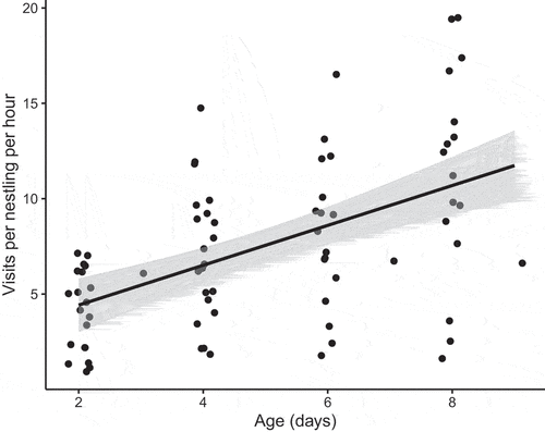 Figure 1. Number of visits per Silvereye nestling per hour by parents to the nest over the development period. The black line is the model fit from a linear mixed model of visits per nestling per hour as a function of day, with nest as a random factor. Points are jittered along the x axis to improve clarity.