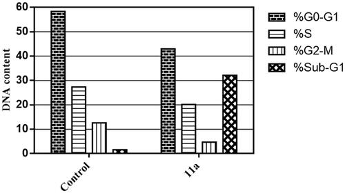 Figure 2. Impact of the tested coumarin 11a on the progression of cell cycle of MCF-7 cells.