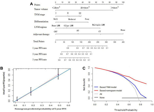 Figure 4 Prediction Nomogram for PFS. (A) The model that incorporated differentiation grade, TNM stage, adjuvant therapy, preoperative tumor volume and the number of postoperative pathologically LNM regions was developed and presented as the nomogram; (B) The calibration curve of the nomogram for the 5-year PFS; (C) The decision curve analysis of the nomogram for the PFS.