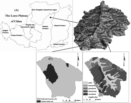Figure 1.  Location of the study area in Shenmu, Shaanxi Province, China (A), the land use (B), and soil types (c) of the catchment.