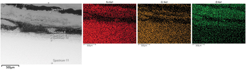 Figure 12. SEM micrographs with EDS maps of FeCrAl deposited through laser clad after 1000 h exposure.