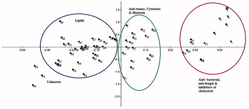 Figure 3. PLS-DA scores plot demonstrating the clustering pattern of Styela plicata metabolites with known biological potencies.