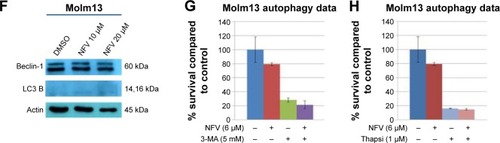 Figure 3 Autophagy and apoptosis in NFV-treated and untreated cells.
