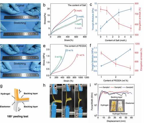 Figure 3. Mechanical property characterization of the UV-curable hydrogel and elastomer. (a) Snapshots showing the high stretchability of the acrylamide-PEGDA hydrogel. (b) Uniaxial tensile tests to investigate the effect of salt content on hydrogel’s mechanical behavior. (c) Effect of salt content on Young’s modulus and elongation-at-break of the acrylamide-PEGDA hydrogel. (d) Snapshots showing the high stretchability of the BA-PEGDA elastomer. (e) Uniaxial tensile tests to investigate the effect of PEGDA content on elastomer’s mechanical behavior. (f) Effect of salt content on Young’s modulus and elongation-at-break of the BA-PEGDA elastomer. (g) Schematic illustration of 180°-peeling test. (h) Snapshots of the peeling test process. (i) The force/width–displacement curves to investigate the interfacial toughness