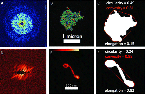 FIG. 4 FLASH diffractive imaging of PM2.5 morphology. The diffraction pattern (left), reconstructed electron density (middle), and binary convex hull image (right) of an aggregate particle comprised of 88 nm spheres (top row) and a single carbon nanofiber (bottom row).