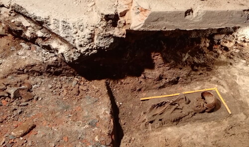 FIG. 12 Burial from the St. Barbara cemetery destroyed during the construction of casemates, research in the basement of the All Saints’ Hospital conducted in 2018 (by P. Kmiecik).