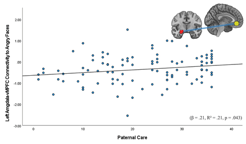 Figure 4. Association between adolescent-reported paternal care and gPPI left amygdala-vMPFC connectivity to angry faces.