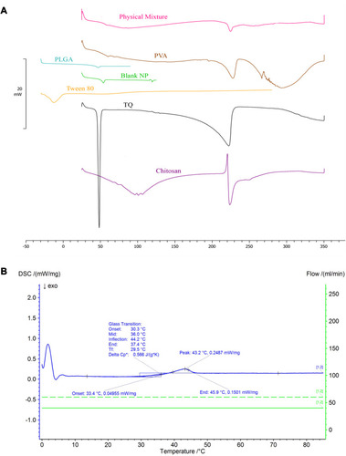 Figure 5 DSC thermograms of (A) TQ and the components in the NP formulation, physical mixture, and blank NPs and (B) TQ-PLGA NPs.