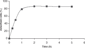 Figure 2. Effect of incubation time on the number of P. chrysosporium cells adsorbed per g support.