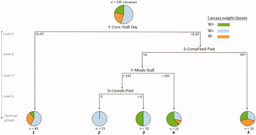 Figure 2. Decision tree for the prediction of the carcase weight classes according to rearing practices applied during the whole life of mid-age slaughtered heifers (Age 2 class), obtained by the CHAID method with Person’s measure.Caption: F-Conc-Stall-Day: amount of concentrate distributed in-stall per heifer and per day during finishing (wet kg); S-CompFeed-Past: distribution of compound feed at pasture during suckling (yes/no); F-Meals-Stall: amount of meals distributed in-stall per heifer during finishing (wet kg); G-Cereals-Past: amount of straw-based cereals distributed at pasture per heifer during growing (wet kg).